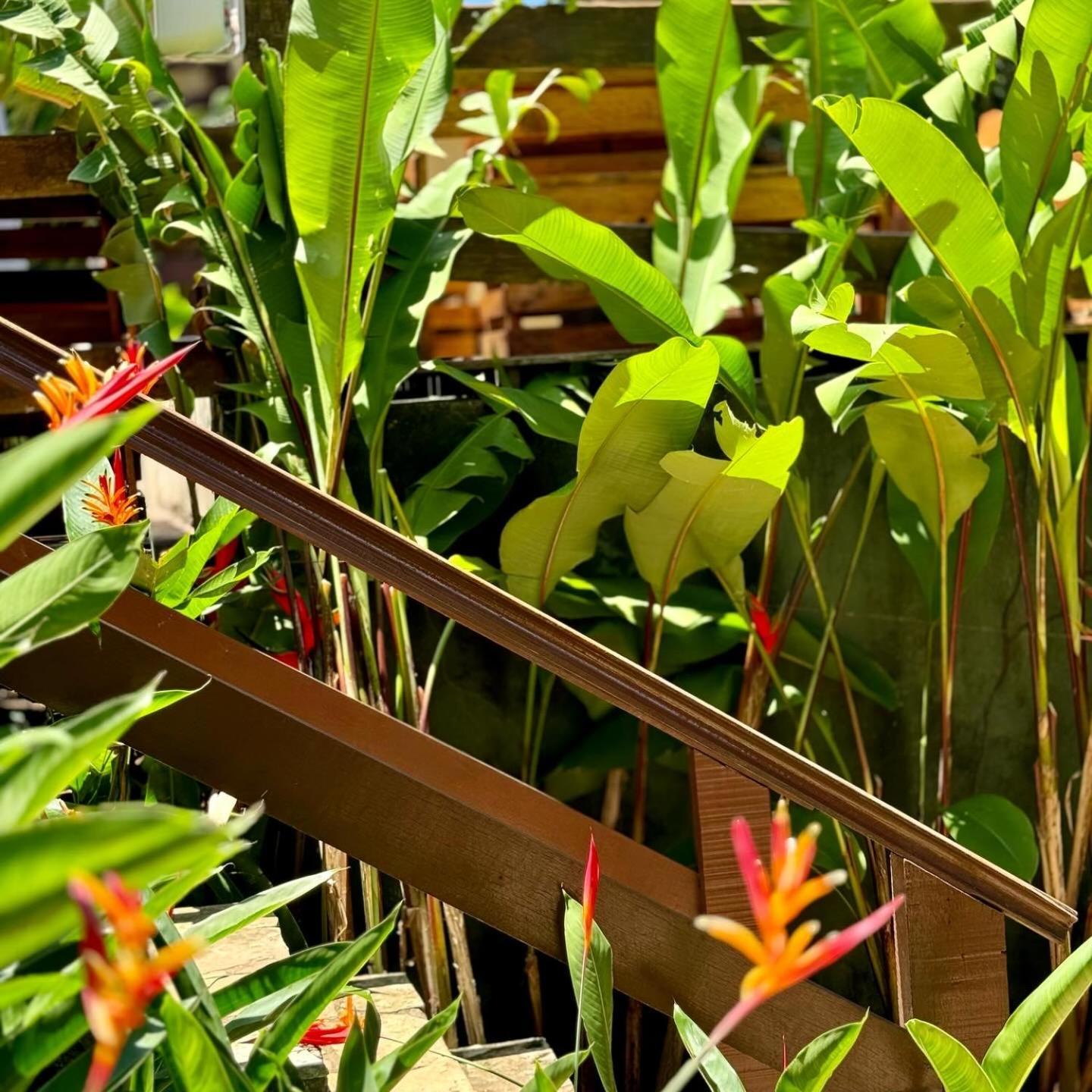 Estrelamar Ferradura Pousada Restaurante & Spa Búzios エクステリア 写真